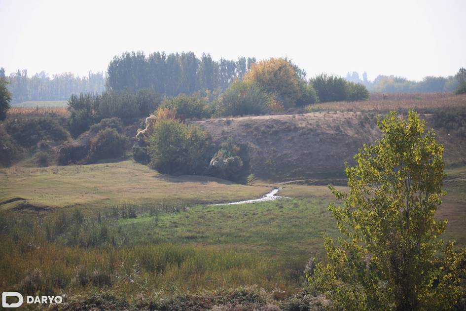 Samarqandda 43 ming gektar yaylovlar mahallalarga bepul ijaraga beriladi